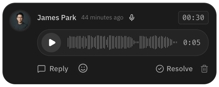 Voice comment pinned at 00:30, with its waveform and the Reply and Resolve buttons