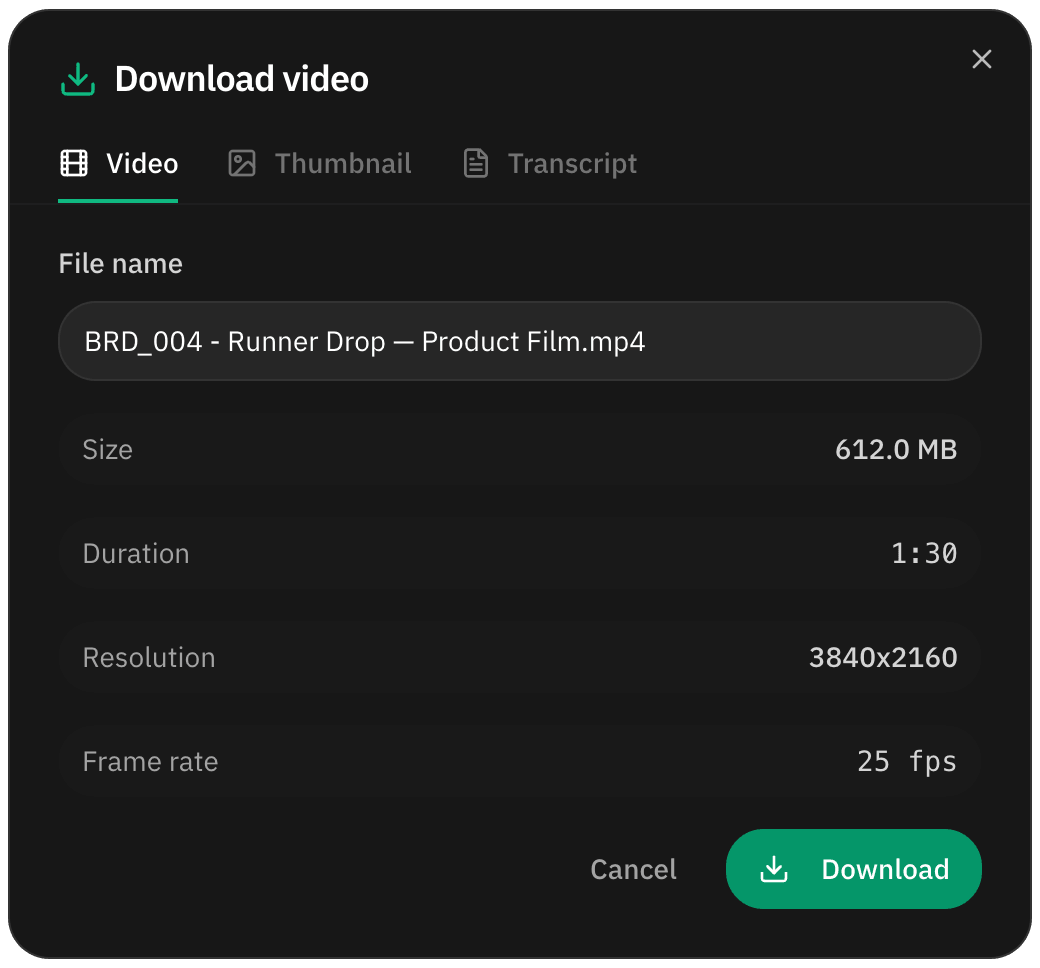 Download window with file name, size and resolution