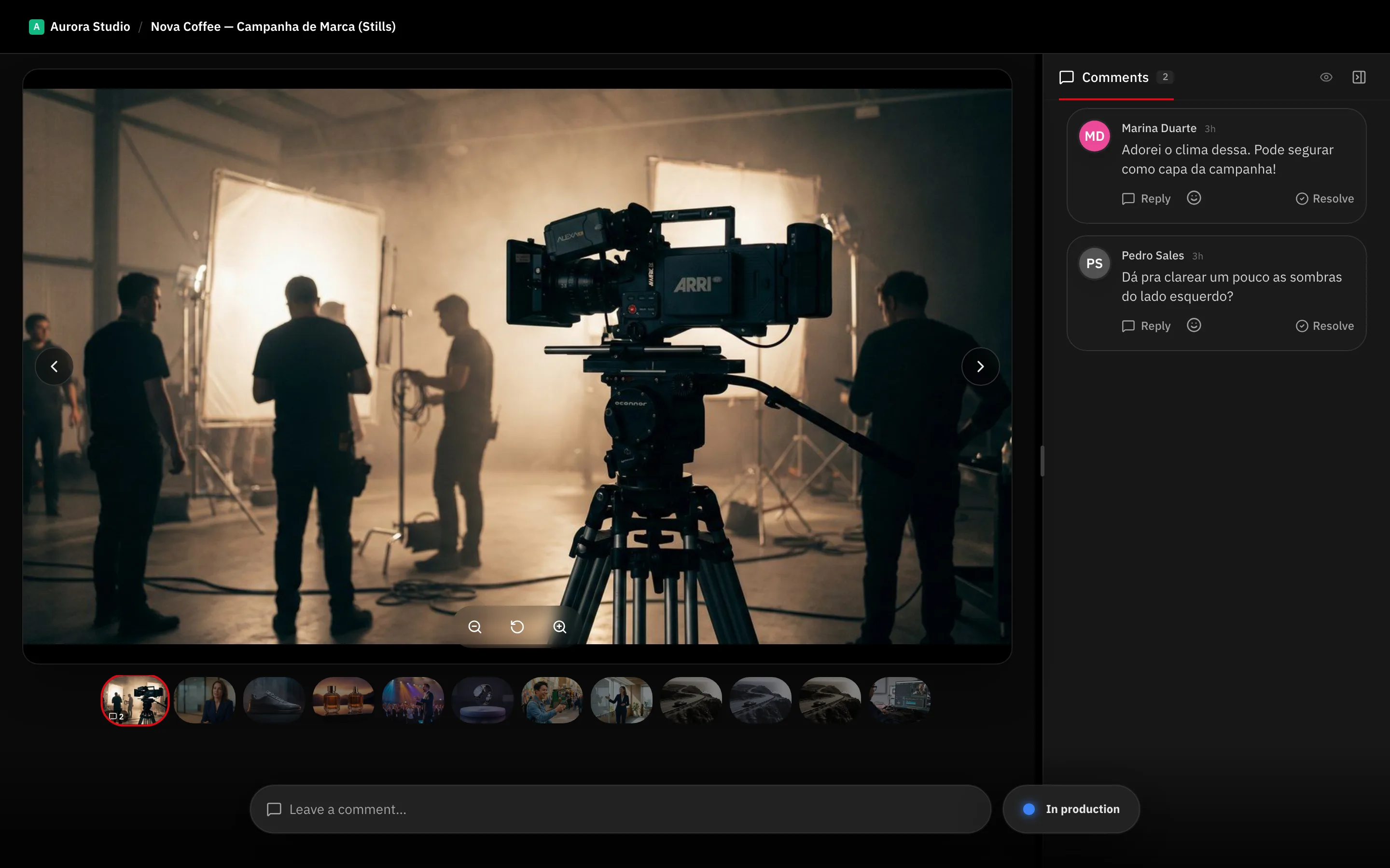 A photo gallery in review, with the photo grid and the comment panel
